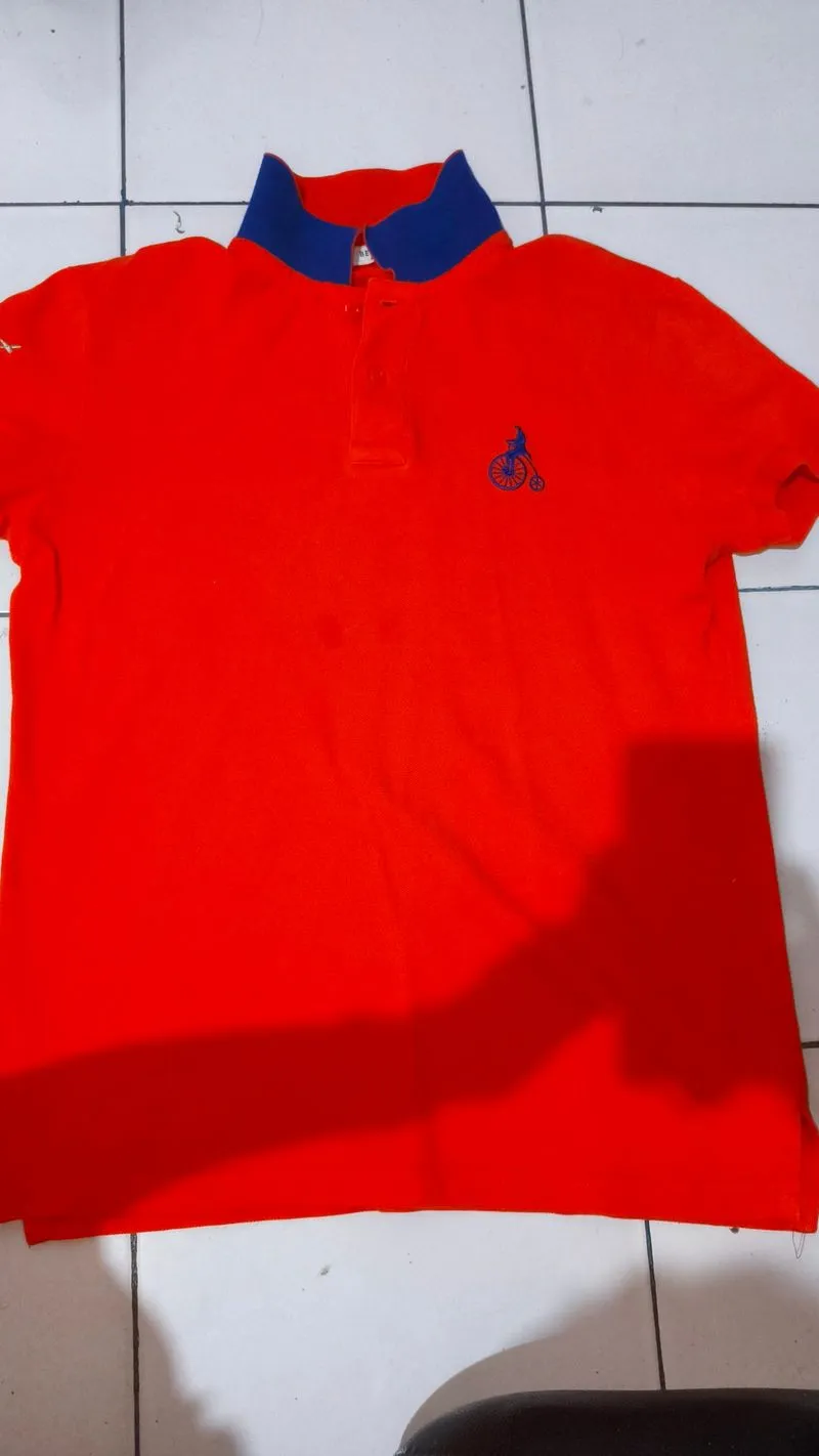 Polo Shirt Bean Pole photo 1