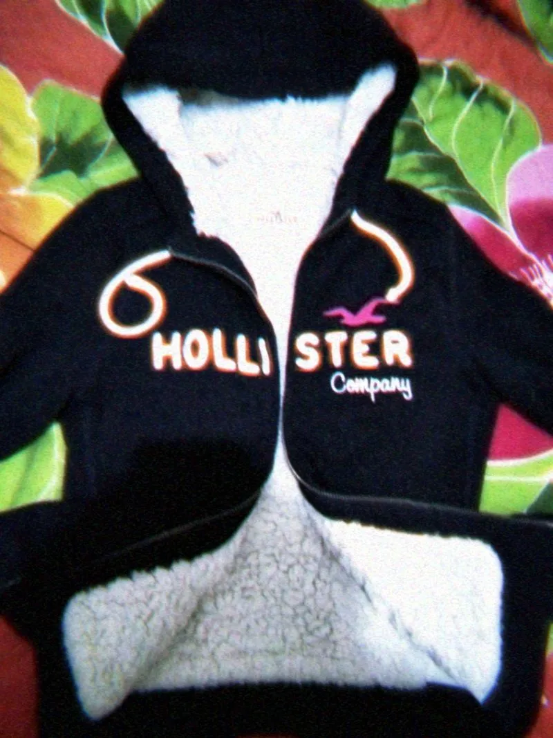 Hollister dark blue zip up Jacket photo 1