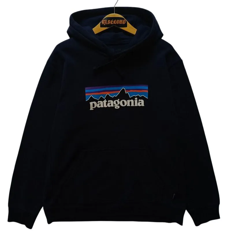 Hoodie Patagonia Biglogo Original photo 1