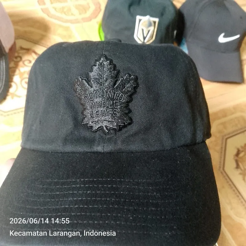 Topi NHL photo 1