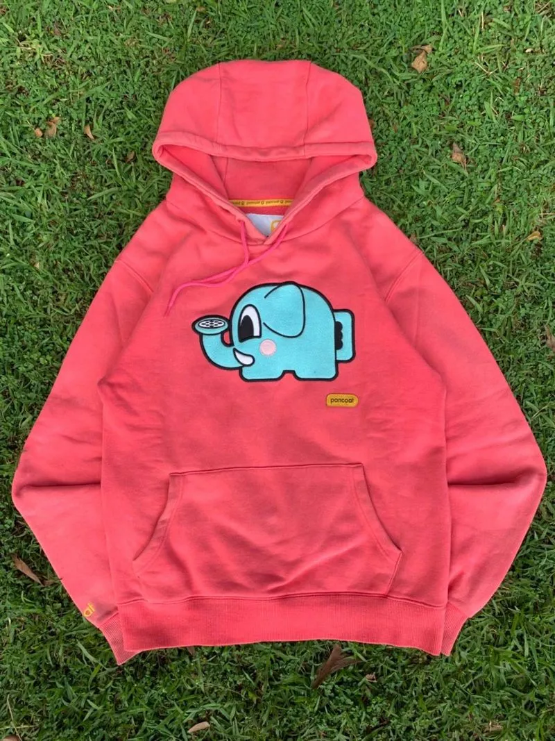 Hoddie pancoat photo 1