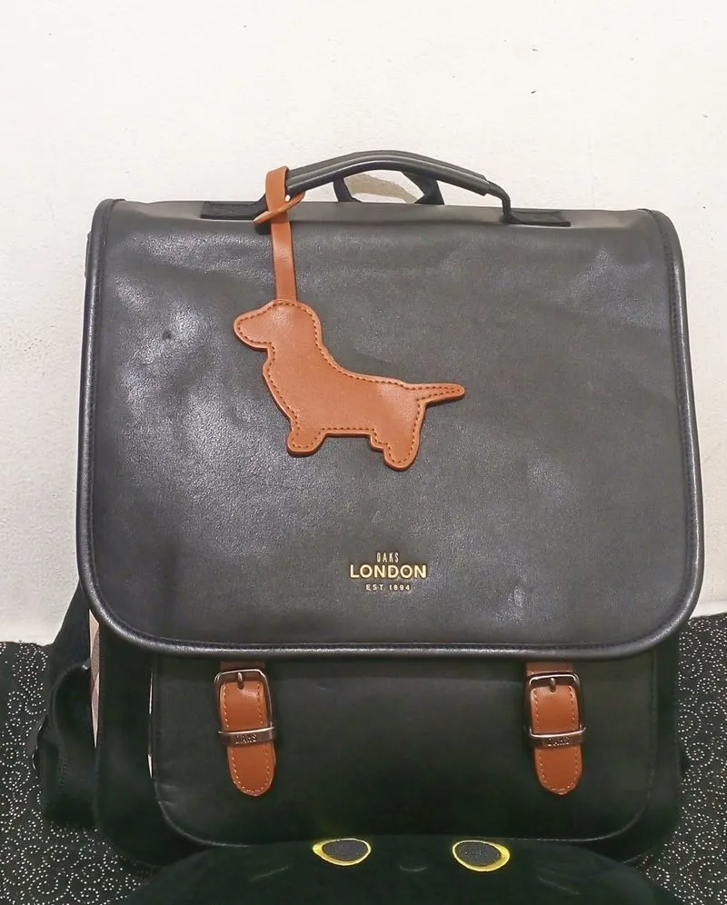 Daks backpack photo 1