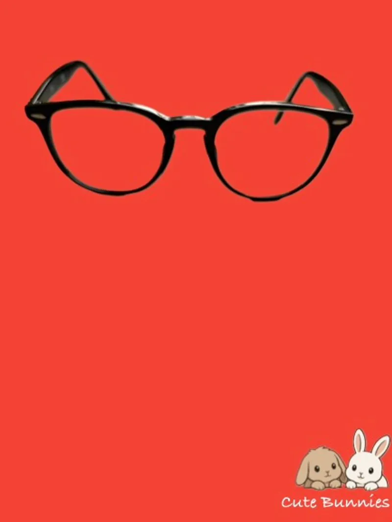 Rayban Glasses photo 1