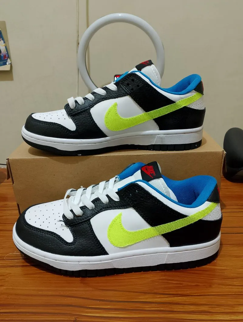 Sneaker casual Nike SB photo 1