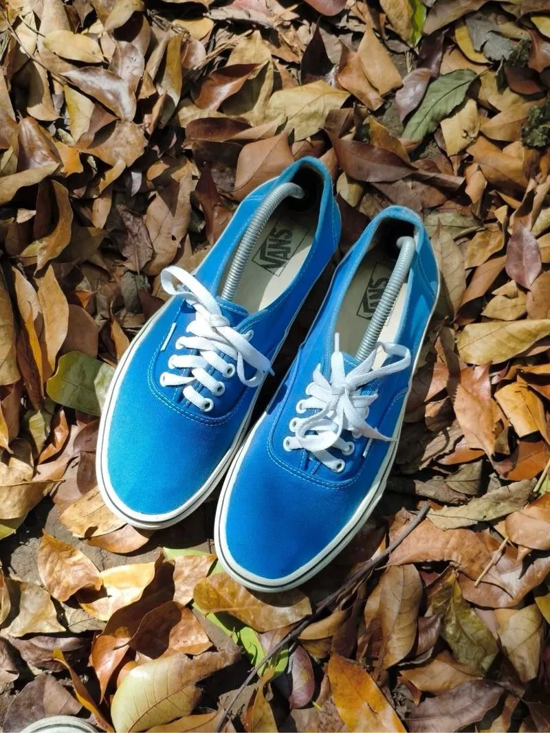 VANS AUTHENTIC  photo 1