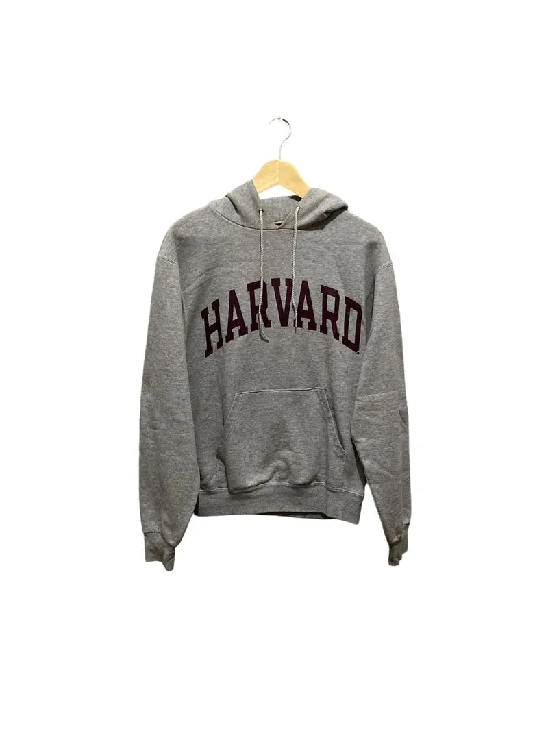 Champion Streetwear Casual Hoody Pria gray photo 1