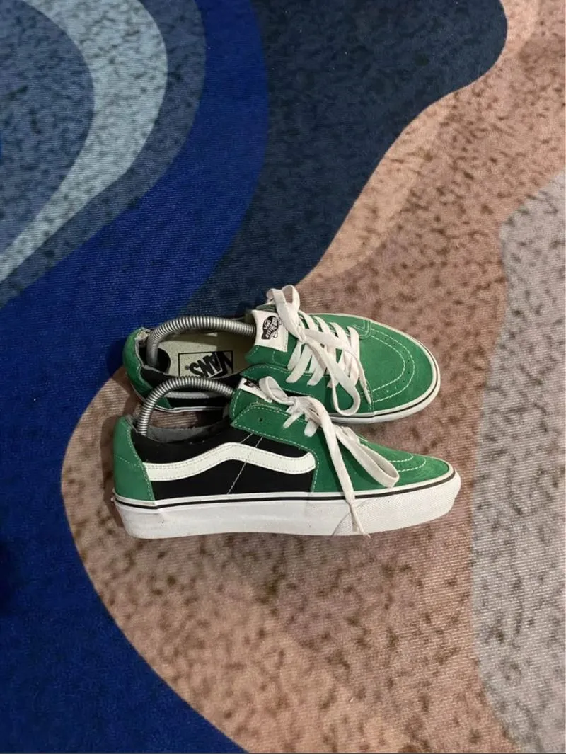 vans sk8 low  photo 1