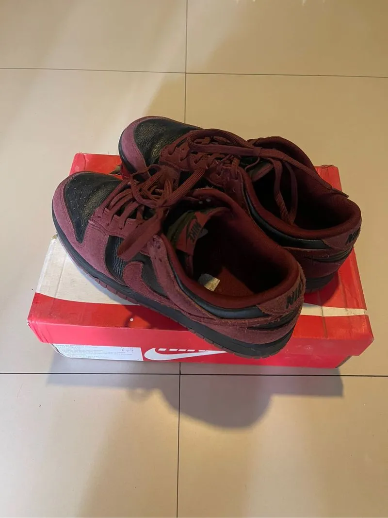 NIKE DUNK LOW RETRO SE photo 1