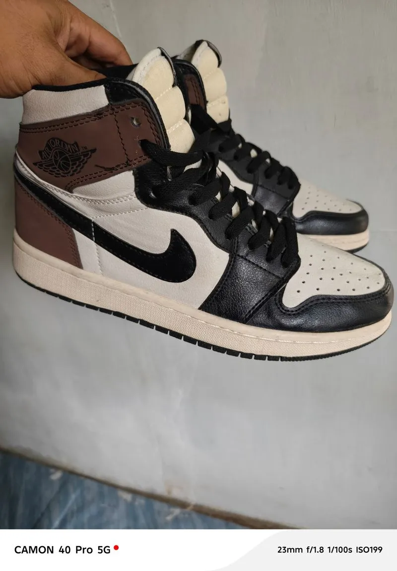 Air Jordan 1 Retro High OG Dark Mocha photo 1