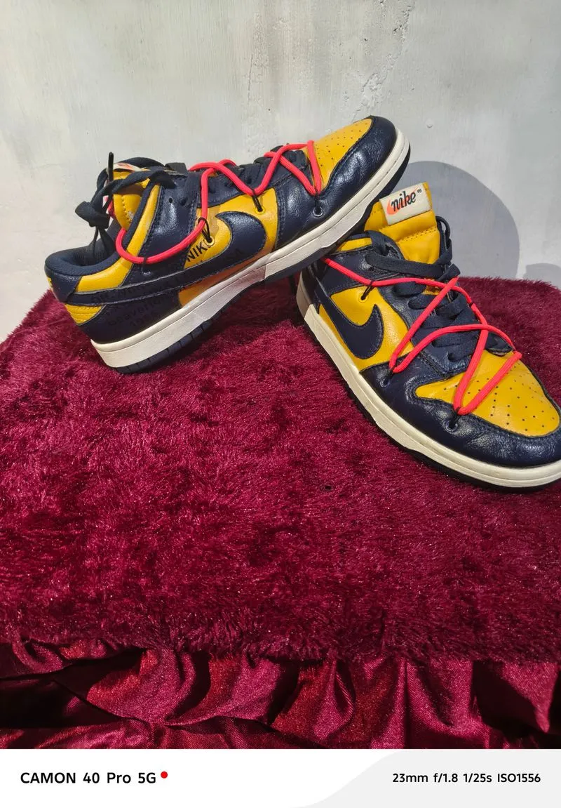 Nike SB dunk low Michigan collab off white photo 1