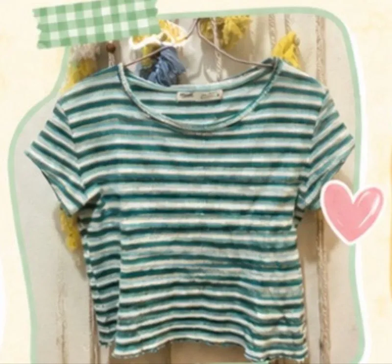 Stripe Basic Ter photo 1