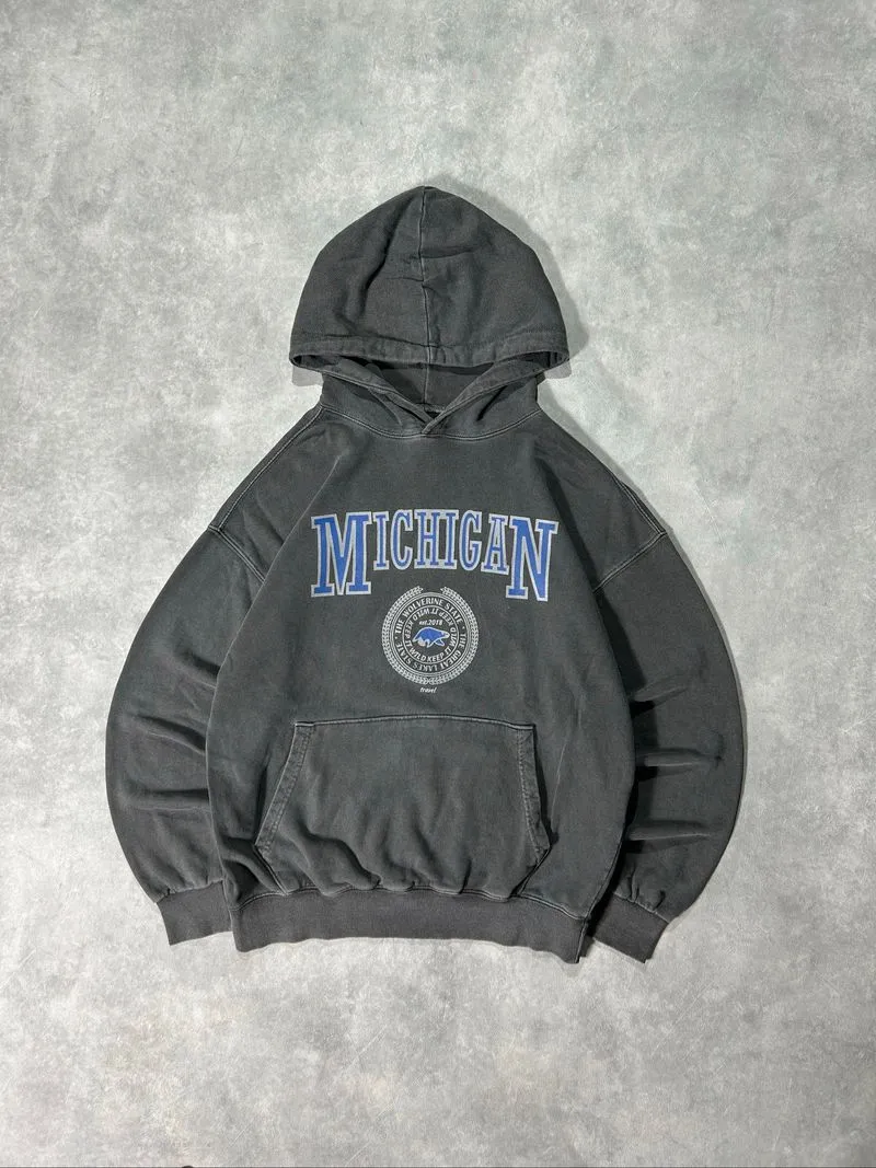 travel ‘michigan’ art grey washed photo 1