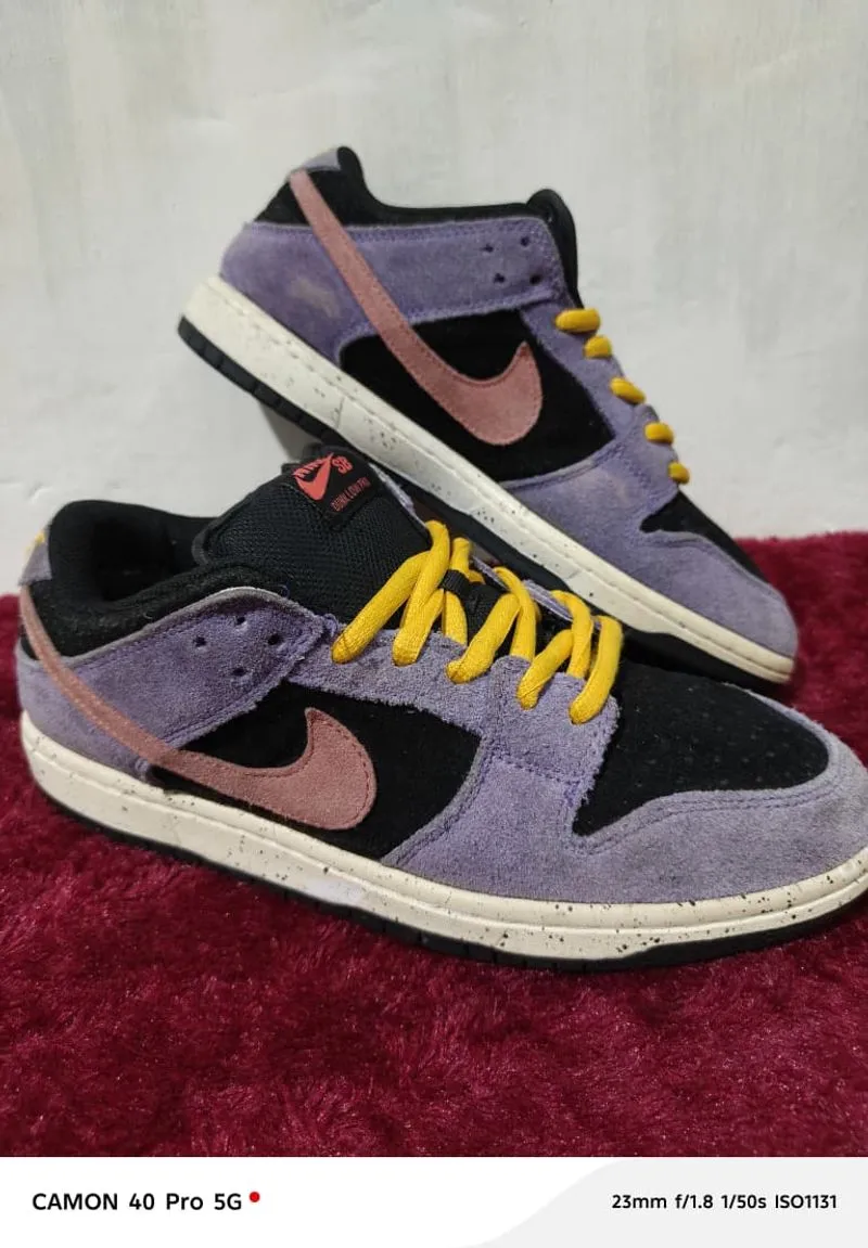 Nike SB Dunk Pro ACG Terra photo 1