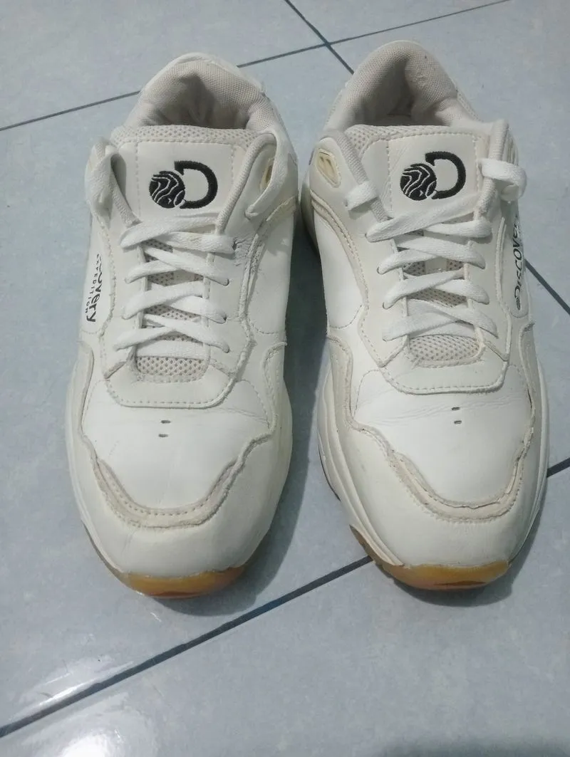 Sepatu sneakers/sepatu Running pria D15C0V3RY 3XP3D1T10N  photo 1