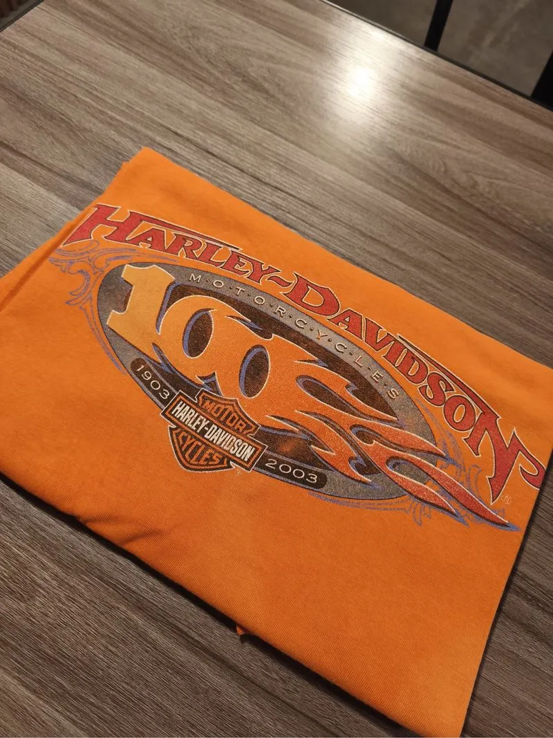 Harley Davidson 100th Anniversary Edition  photo 1