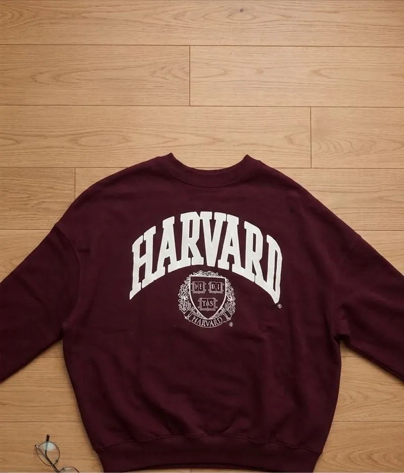 harvard pull n bear sweater photo 1