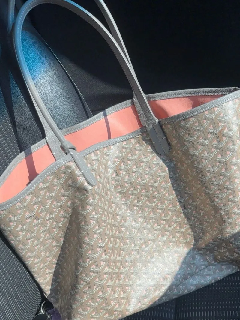 (Special Edition) Goyard Saint Louis PM Claire Voie photo 1