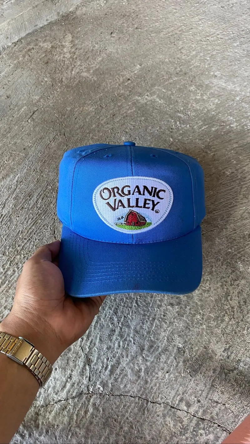 Organic valley Vintage hat  photo 1