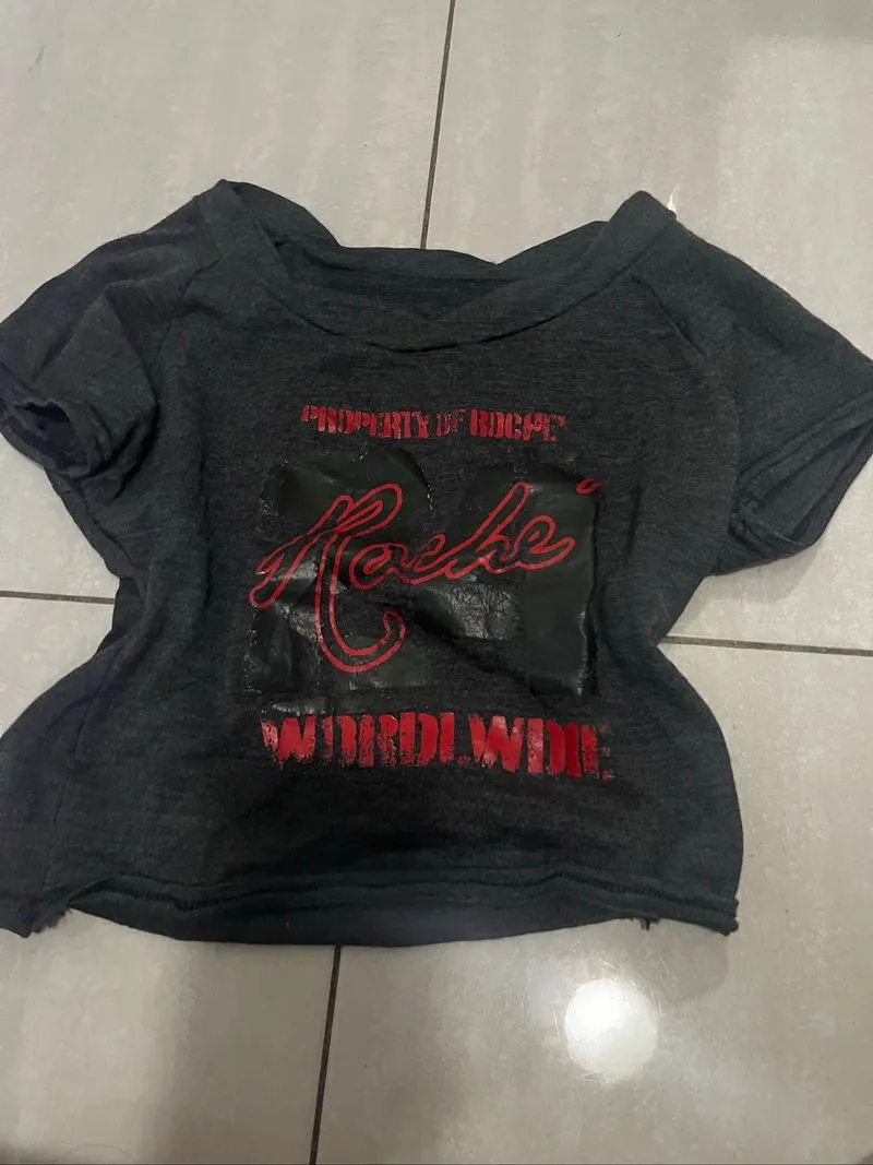 vintage graphic tee / grunge baby tee / distressed roche wor photo 1