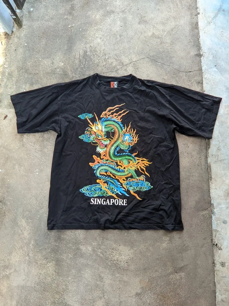 dragon motif  photo 1