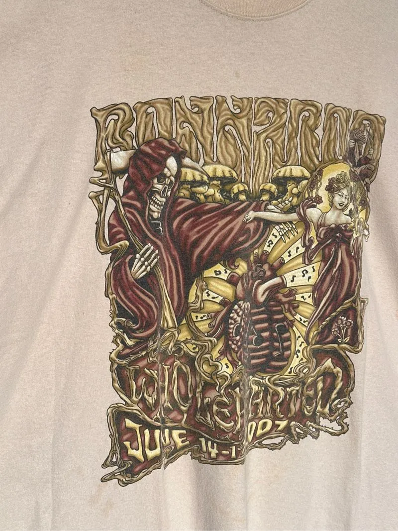 Vintage Bonnaroo Music & Art Fest 2007 official merch y2k photo 1