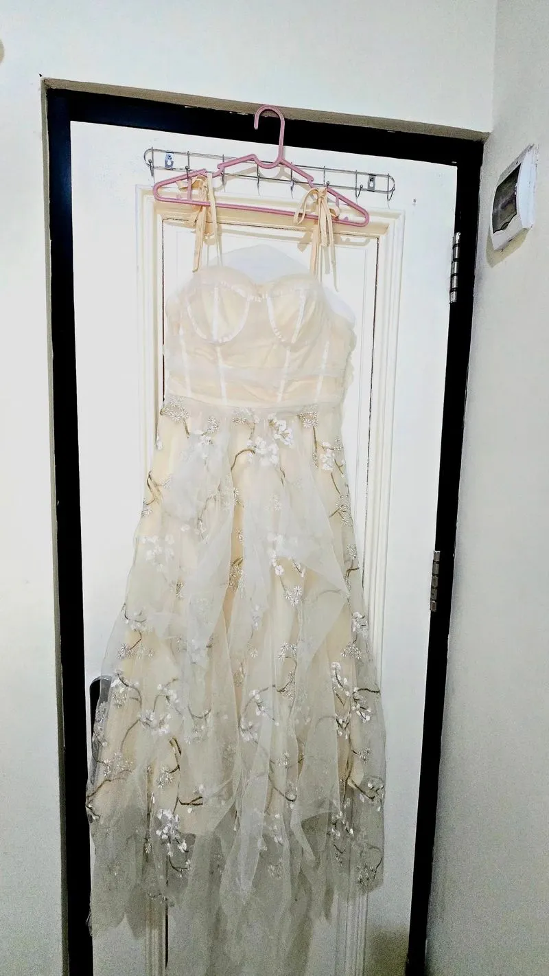 Dress prewedding photo 1