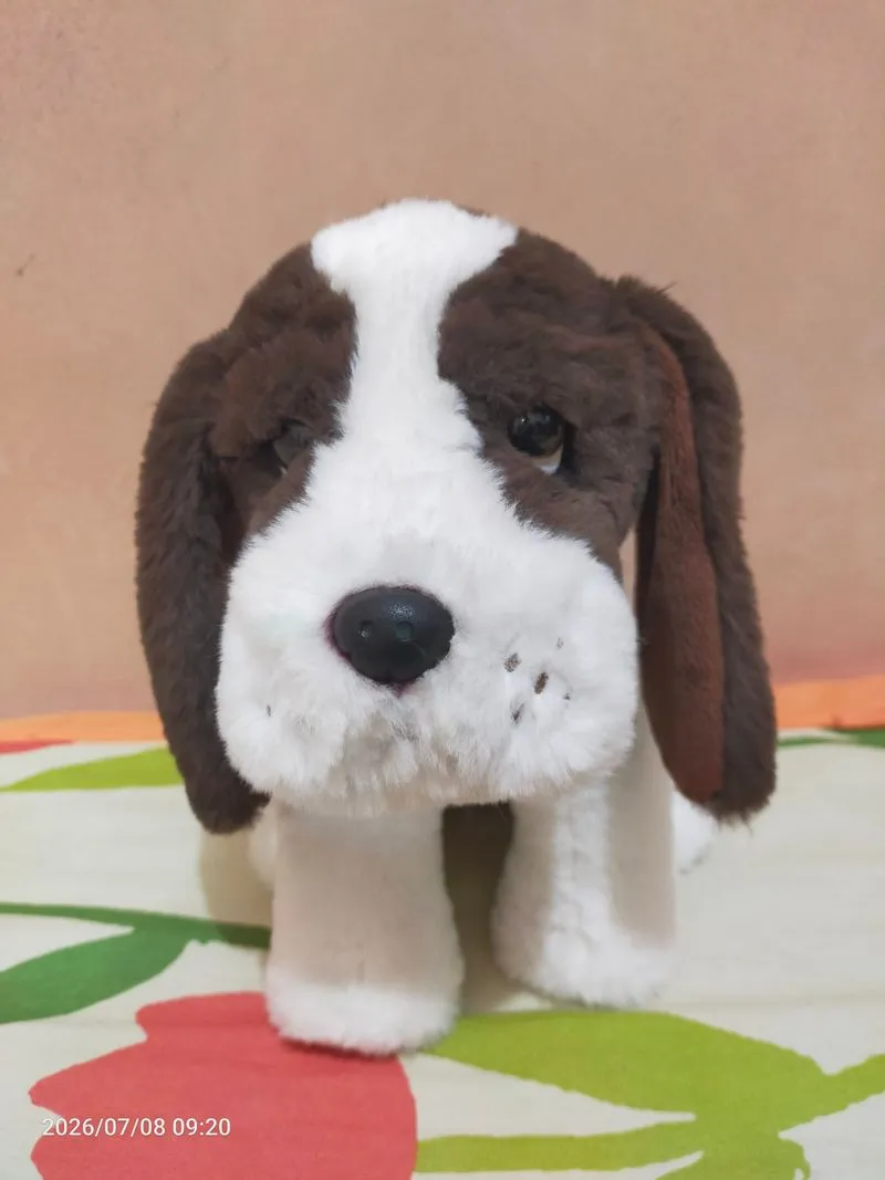 Mainan Boneka Hush Puppies photo 1