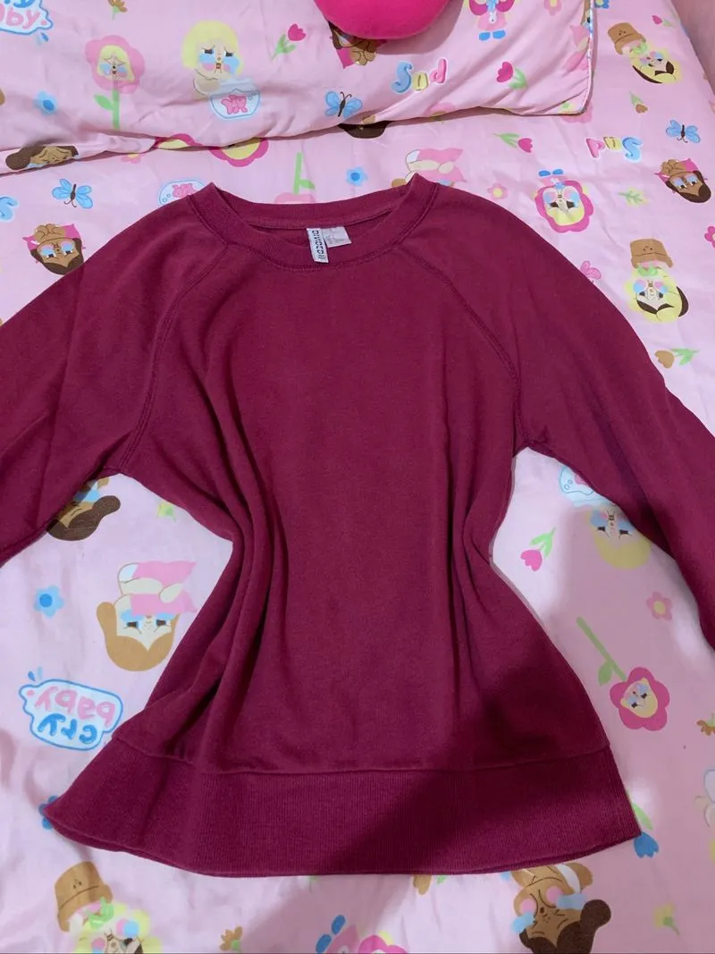 H&M sweatshirts photo 1