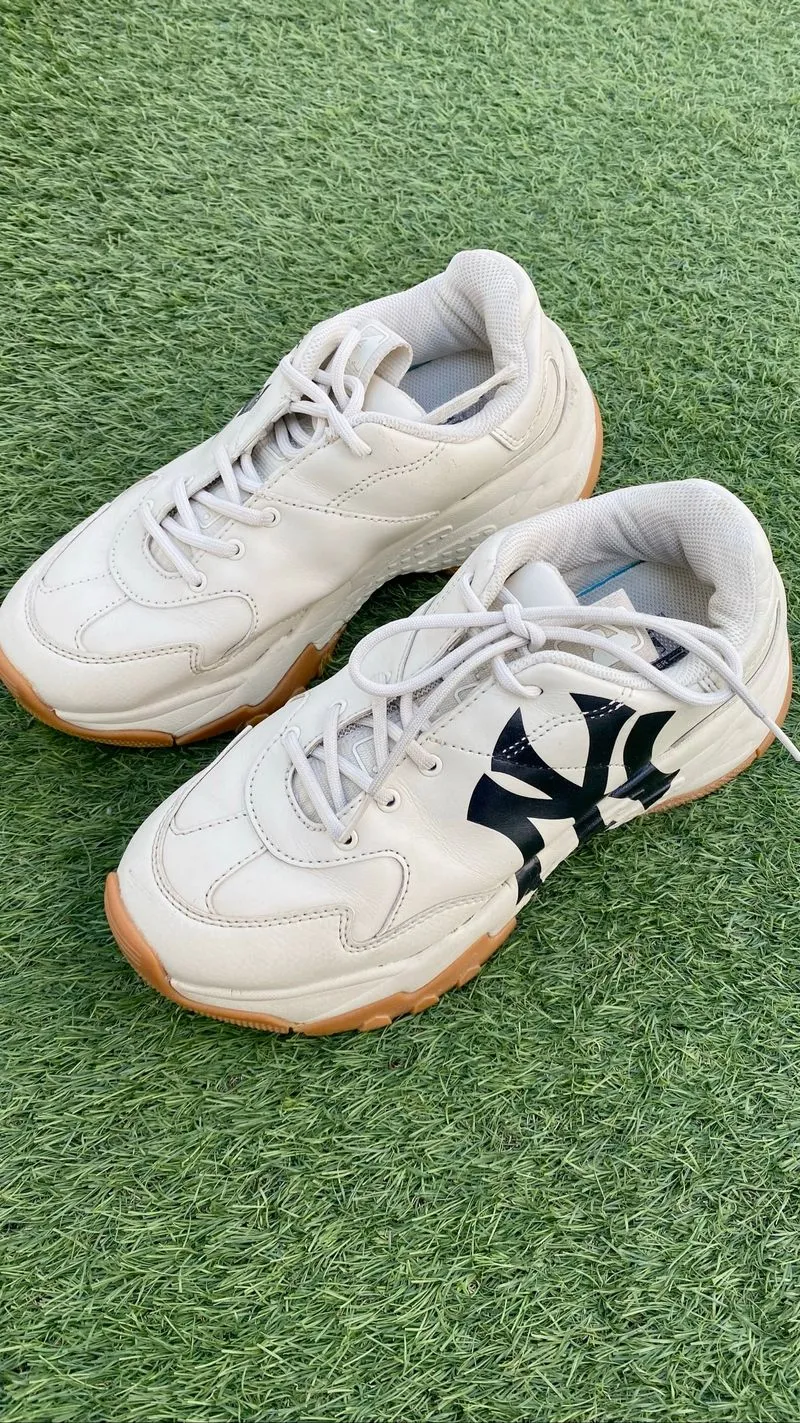MLB Yankco photo 1