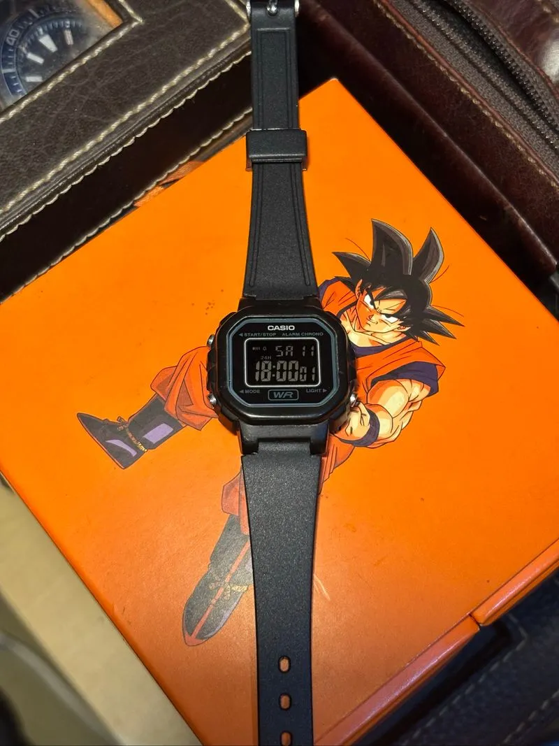 Casio photo 1