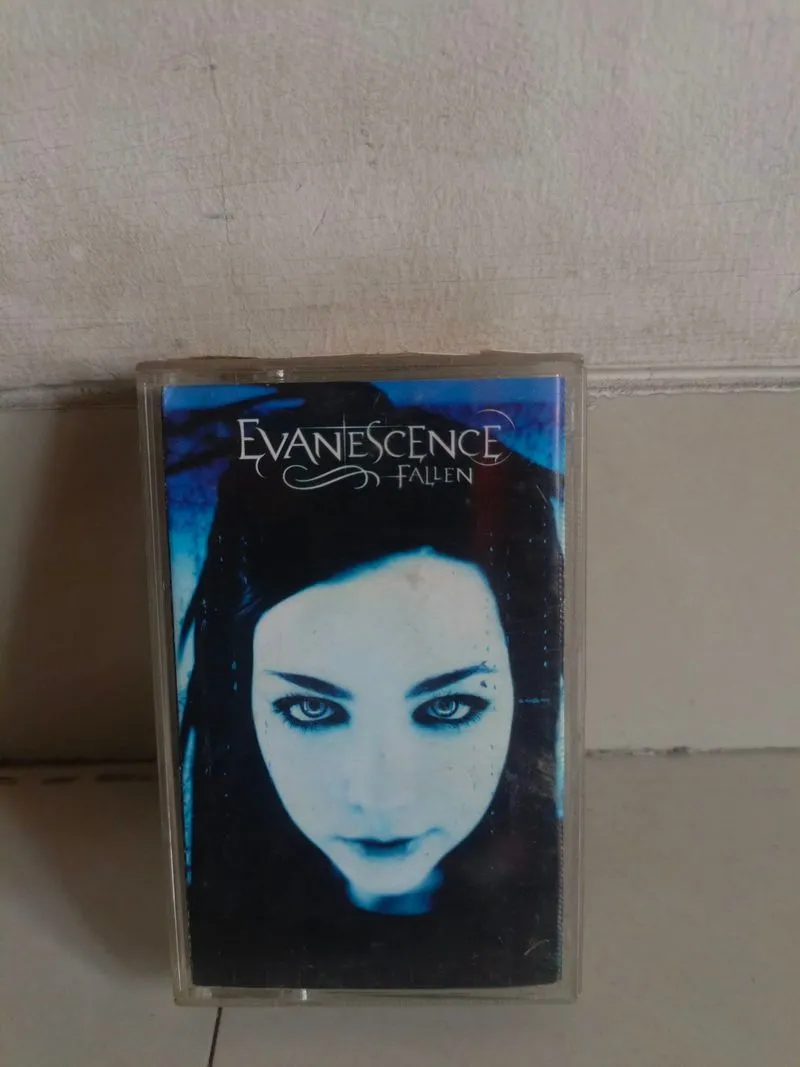 Evanescence – Fallen photo 1