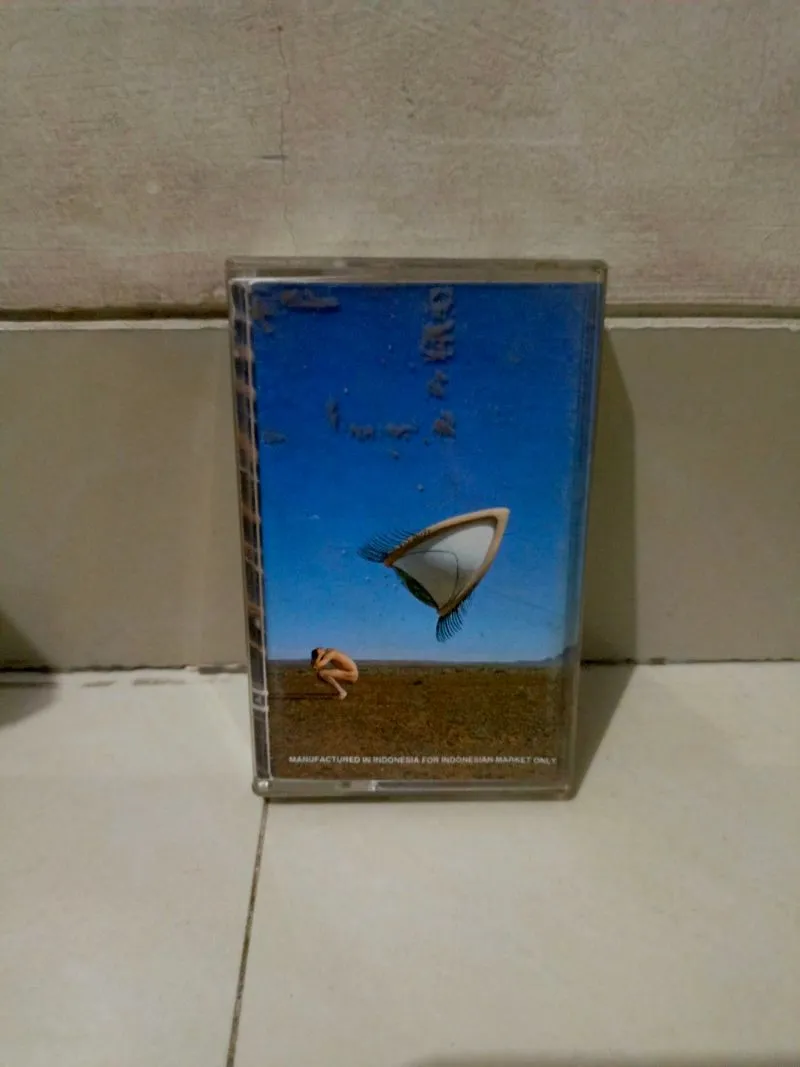 The Cranberries – Bury the Hatchet photo 1
