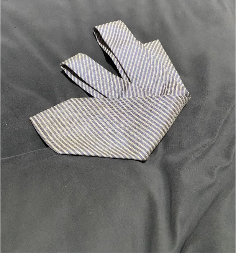 Dasi Issey Miyake photo 1