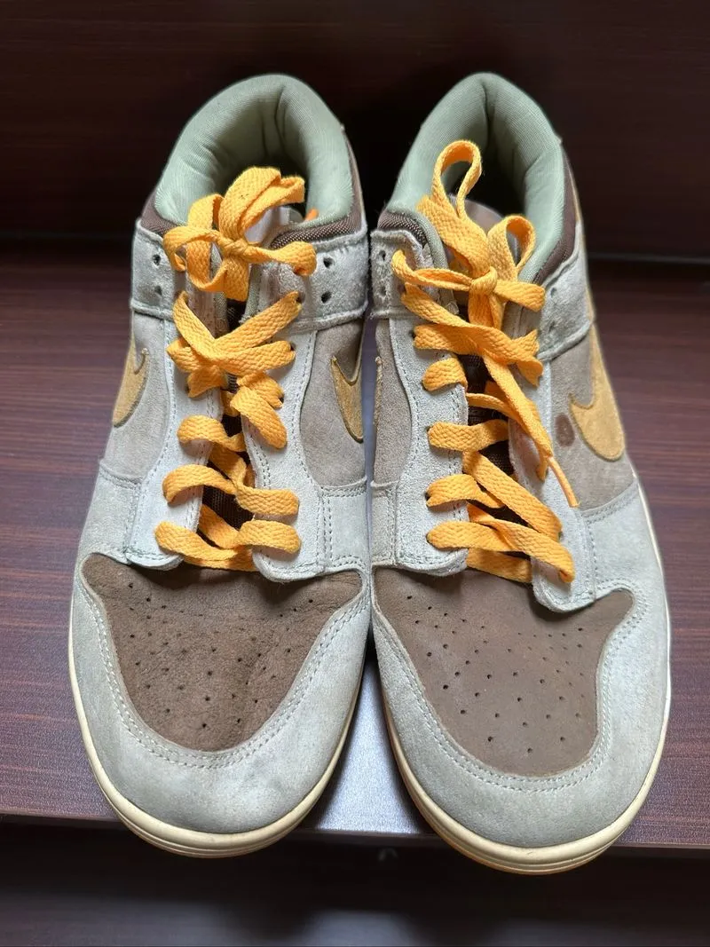 Nike Dunk Low Dusty Olive photo 1