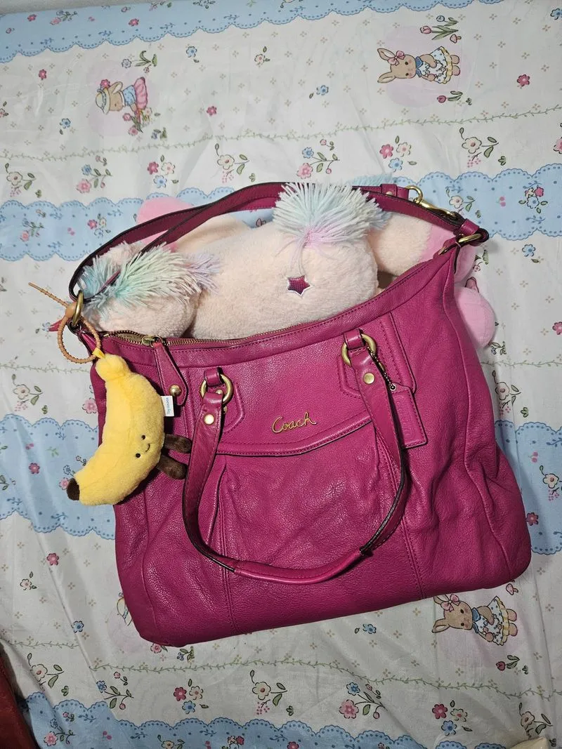 Coach ashley two ways bag photo 1