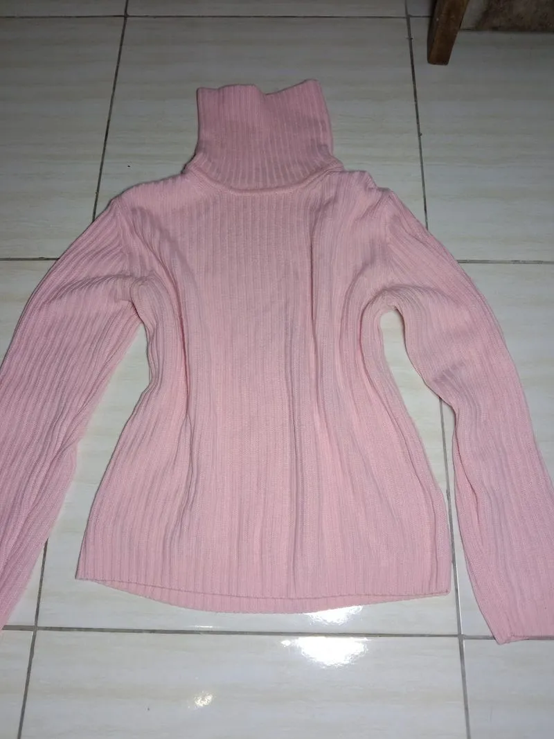 Turtle Neck  photo 1