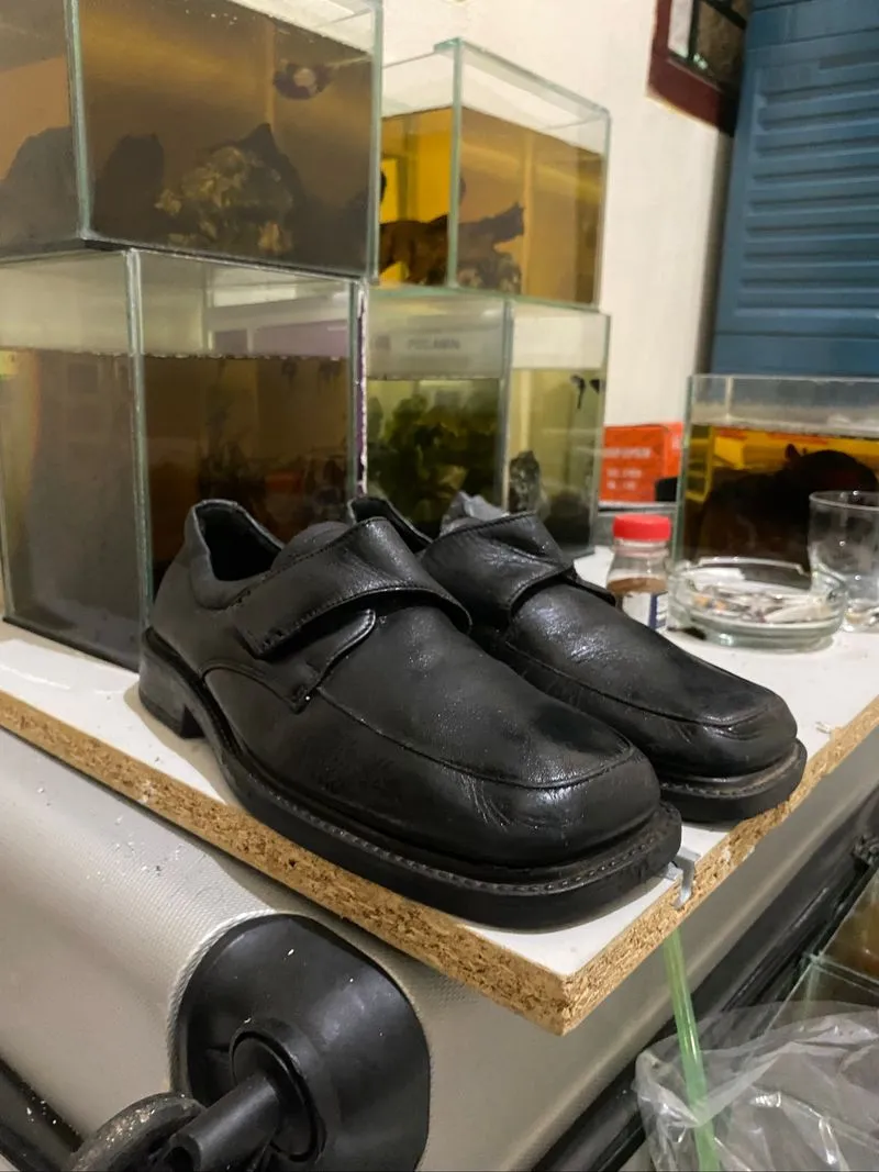 shoes carvil photo 1