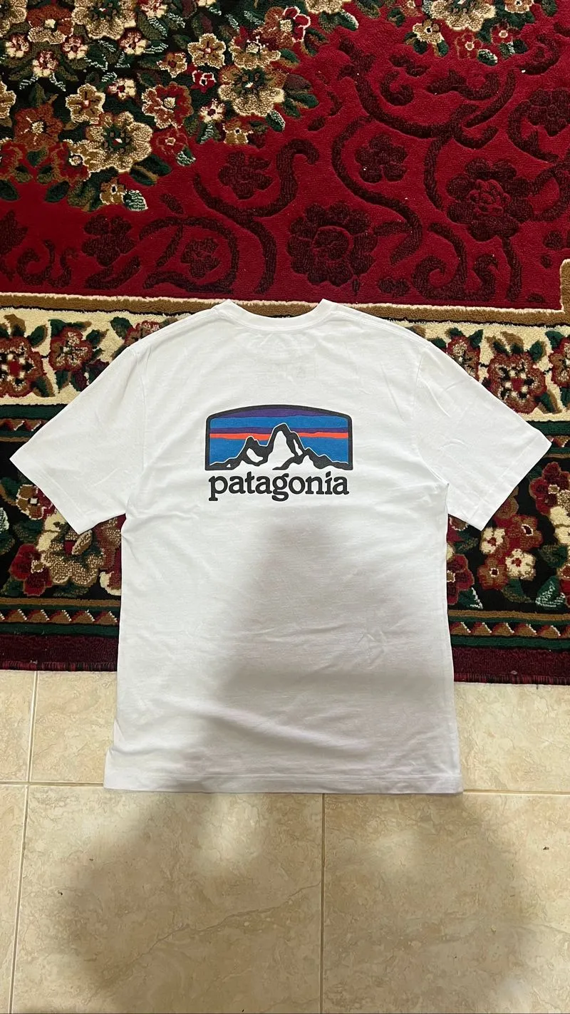 Patagonia Big Logo photo 1