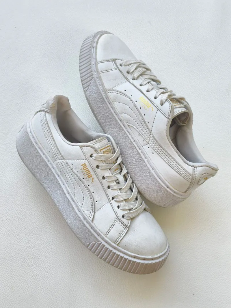 Puma basket photo 1