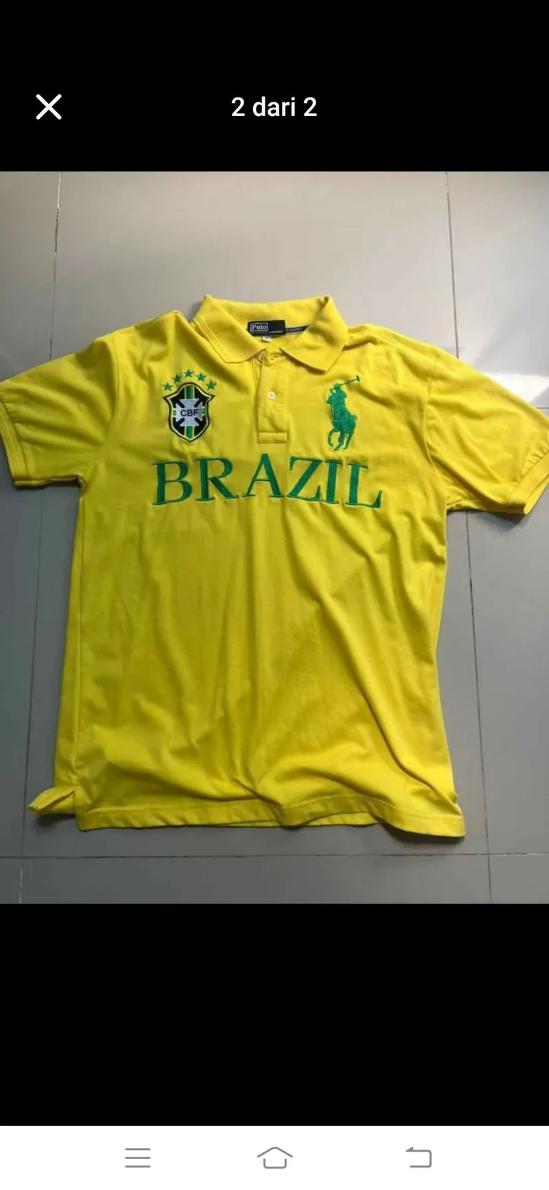 Polo Brazil  photo 1