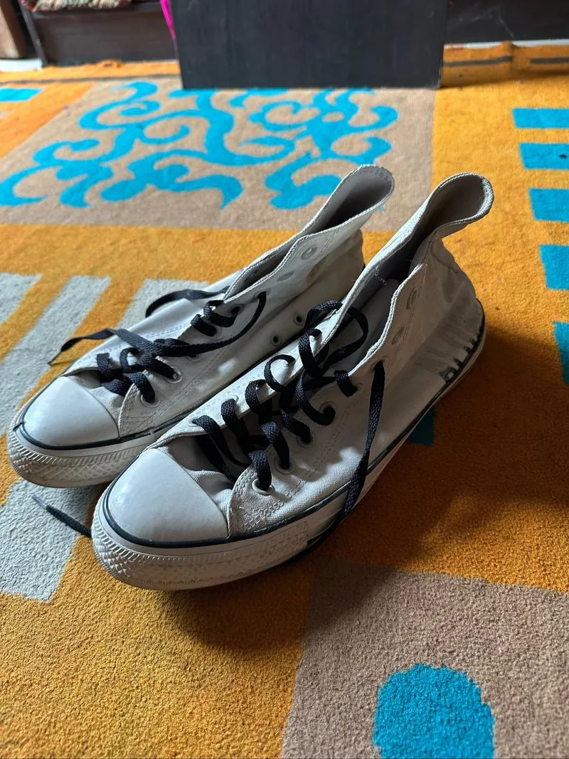 Converse Chuck Taylor All Star We Are Not Alone Top photo 1