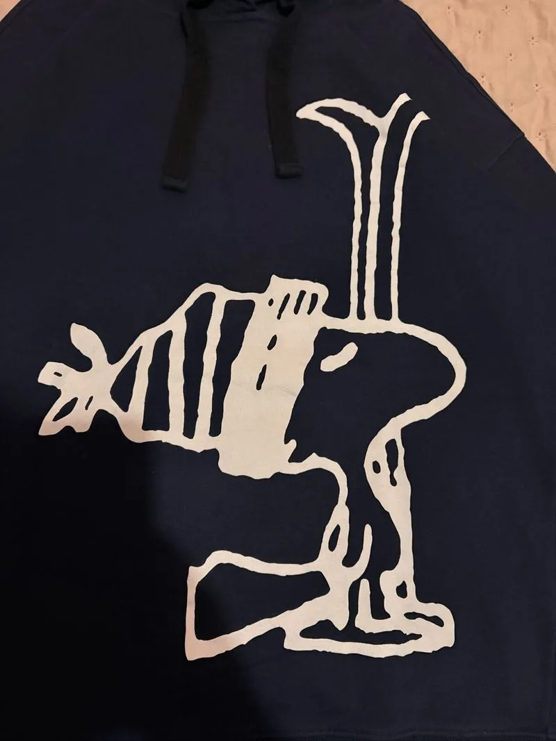 Daiz X Snoopy Peanuts Hoodie photo 1