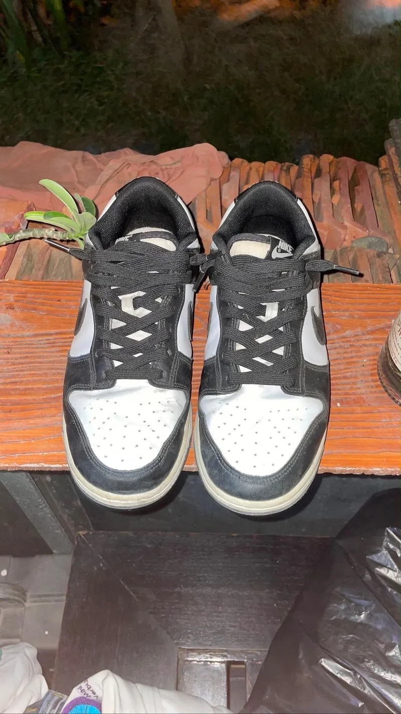 Nike Dunk Low Panda photo 1