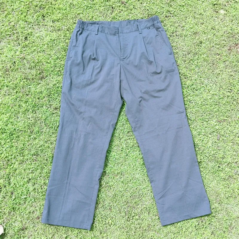 Skater Reworked Formal pants Pria gray photo 1