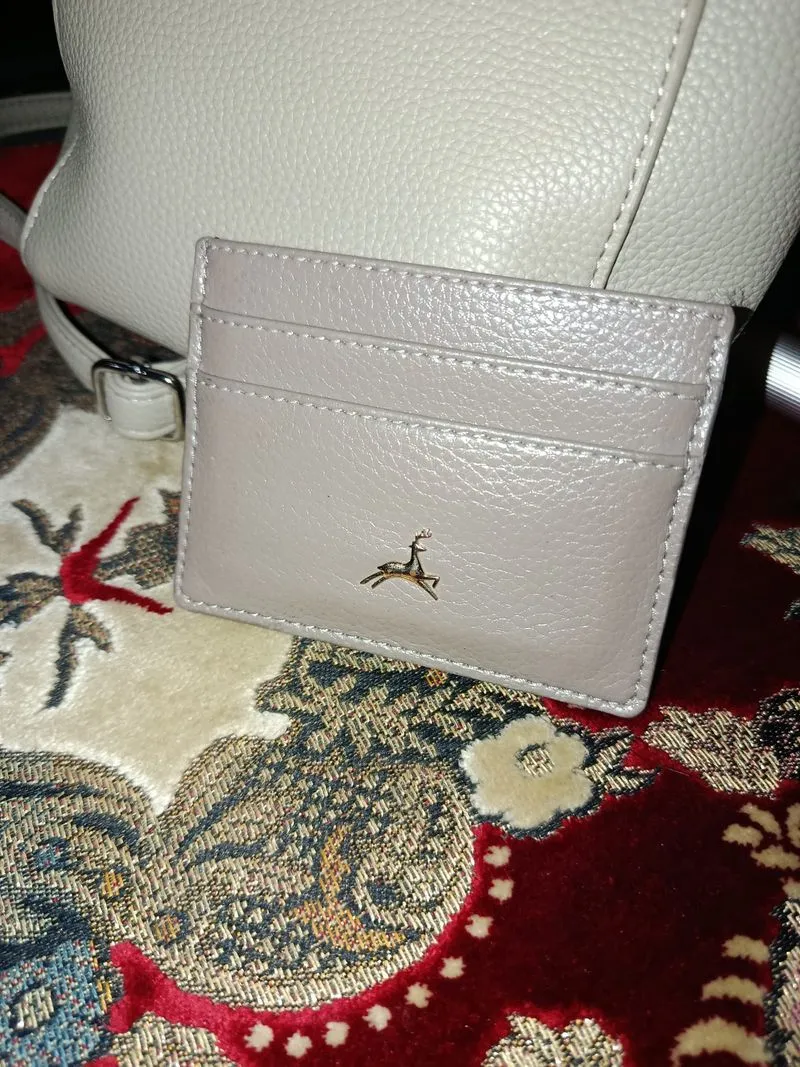 Povilo bira card wallet (dompet) - taupe (no box)  photo 1