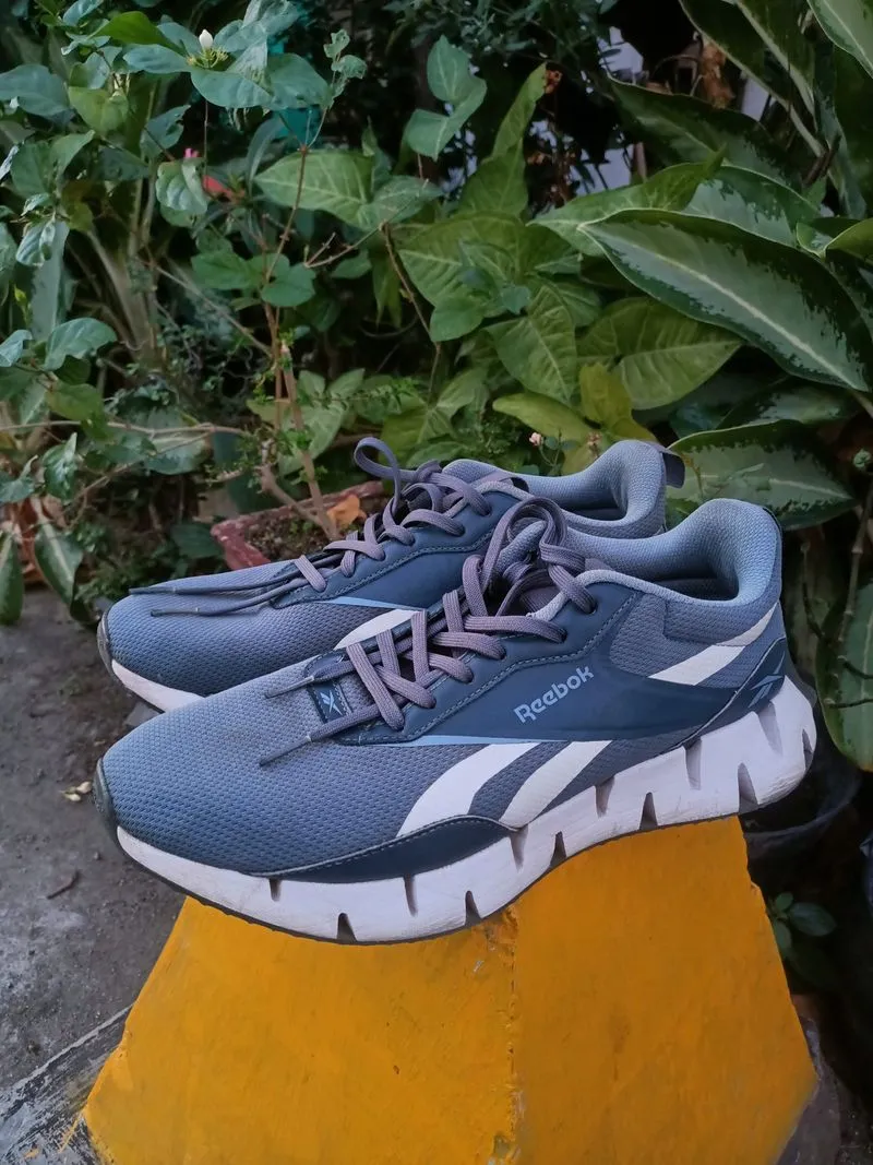 Reebok Zig Dynamica STR  photo 1
