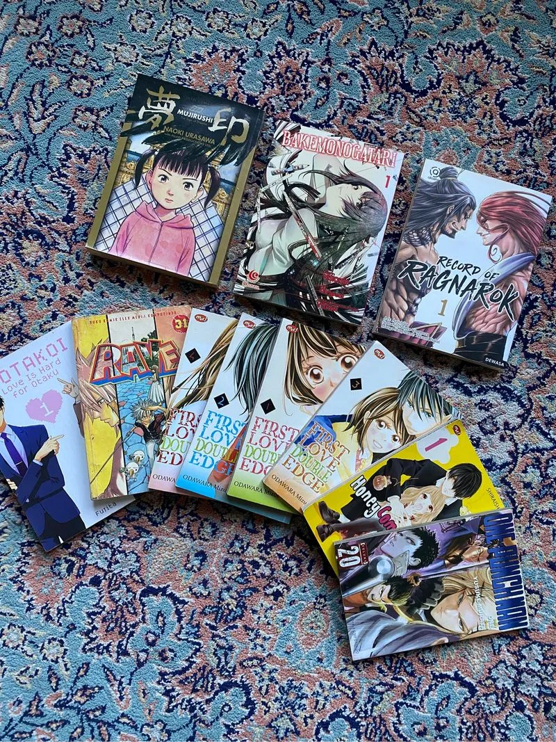 manga collection photo 1