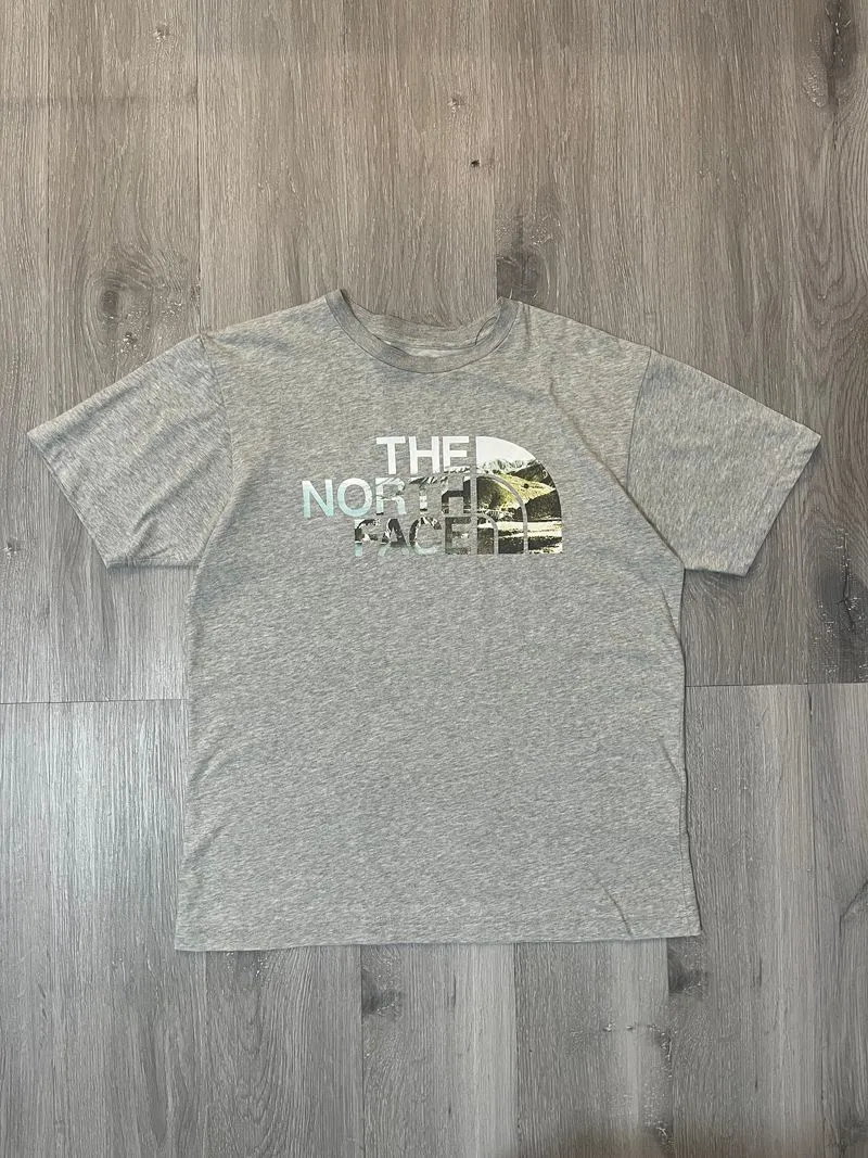 The North Face Casual T-shirt Pria gray photo 1