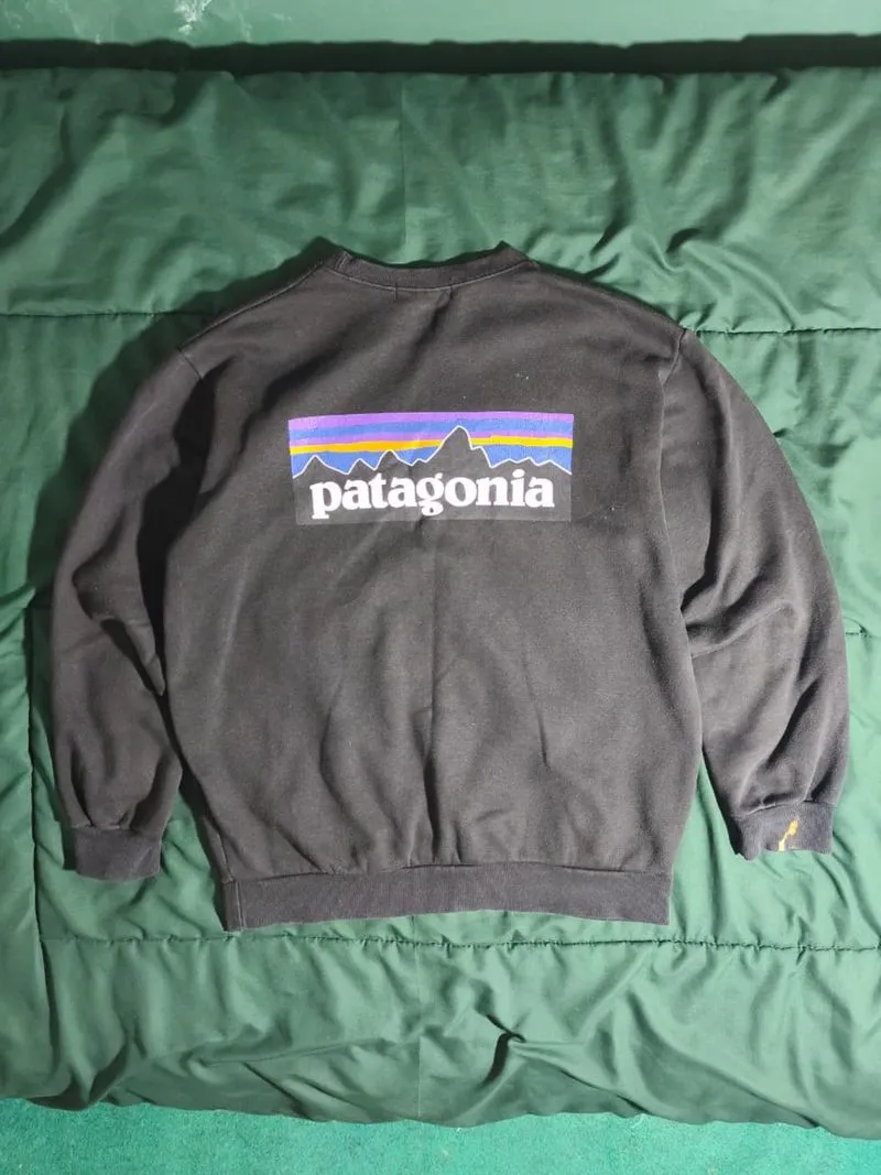 Patagonia crewnek photo 1