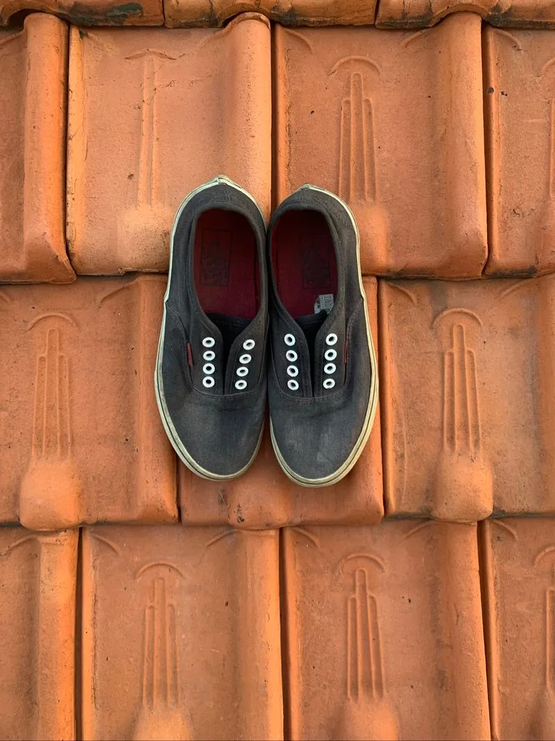 vans authentic  photo 1